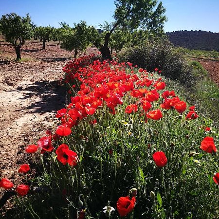 Cortijo Los Soledad Эль-Сауко Экстерьер фото