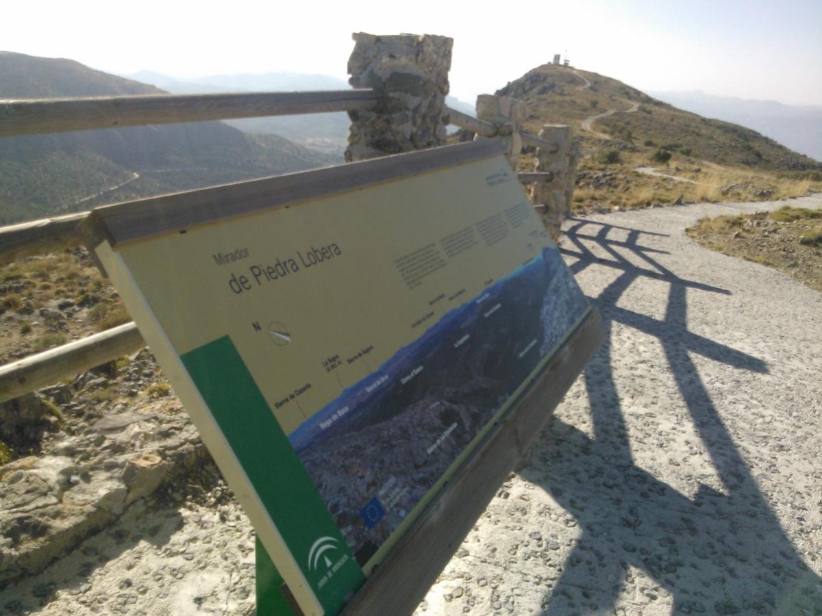 Cortijo Los Soledad Эль-Сауко Экстерьер фото