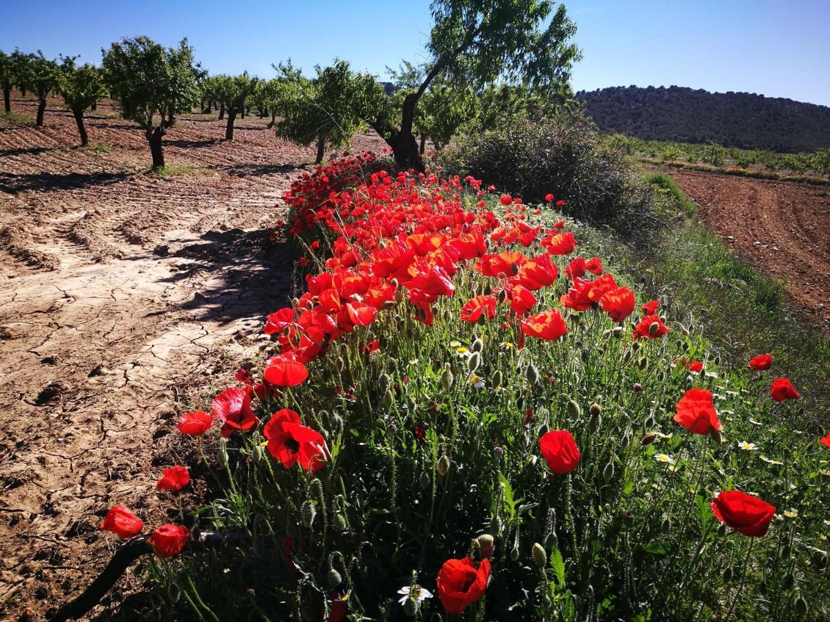 Cortijo Los Soledad Эль-Сауко Экстерьер фото
