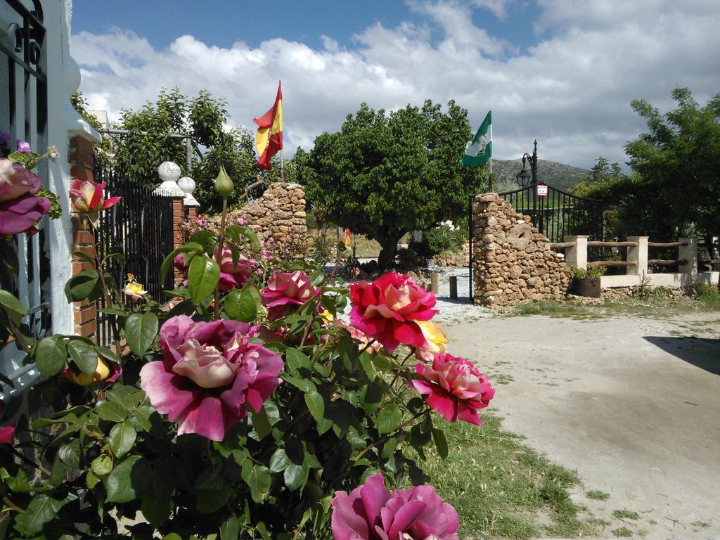 Cortijo Los Soledad Эль-Сауко Экстерьер фото
