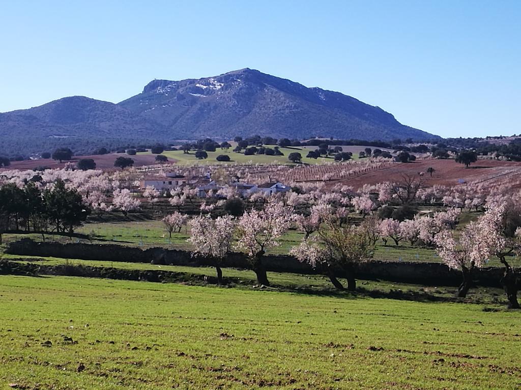 Cortijo Los Soledad Эль-Сауко Экстерьер фото