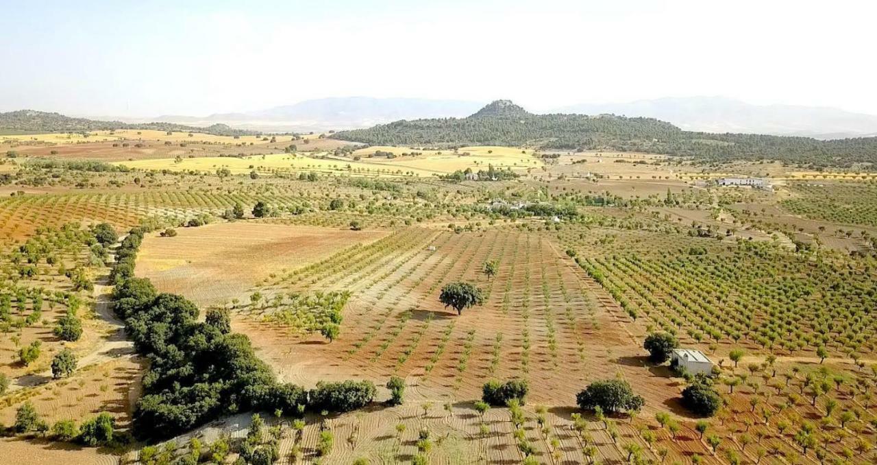 Cortijo Los Soledad Эль-Сауко Экстерьер фото