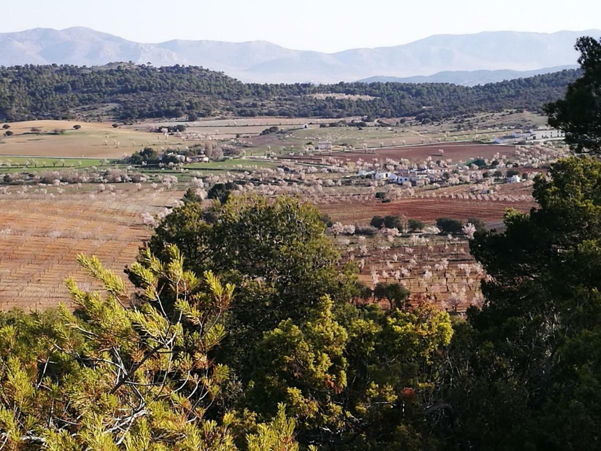 Cortijo Los Soledad Эль-Сауко Экстерьер фото